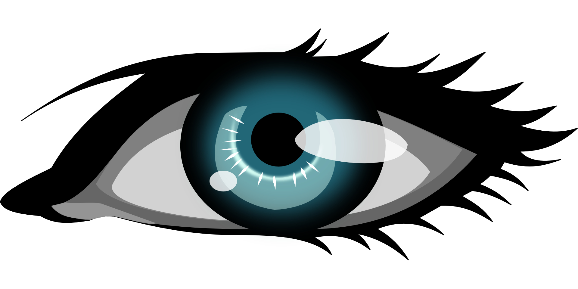 Artistic eye,eyelash vector