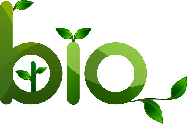BIO-Green plants vector