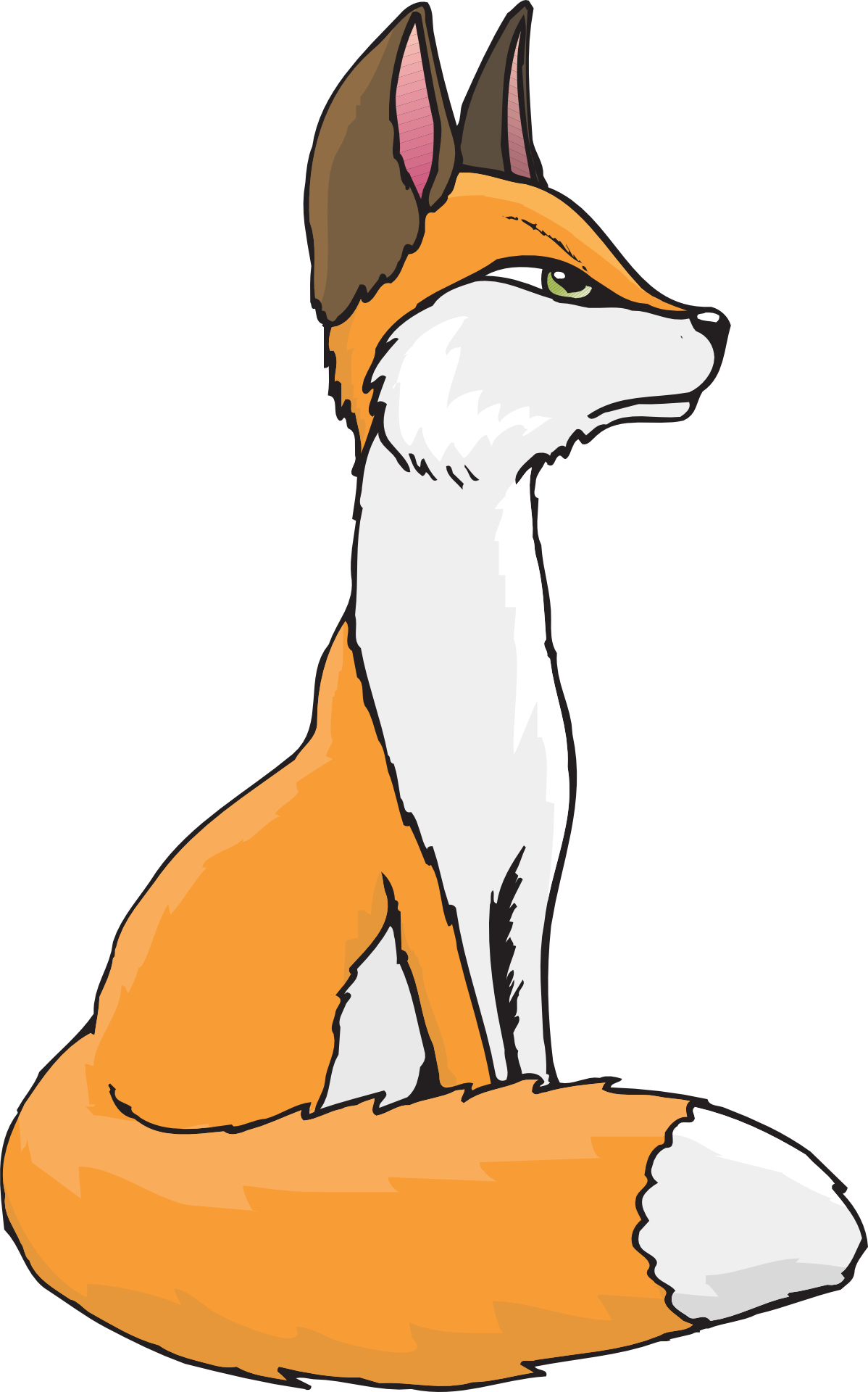 Cartoon animal-white orange fox vector