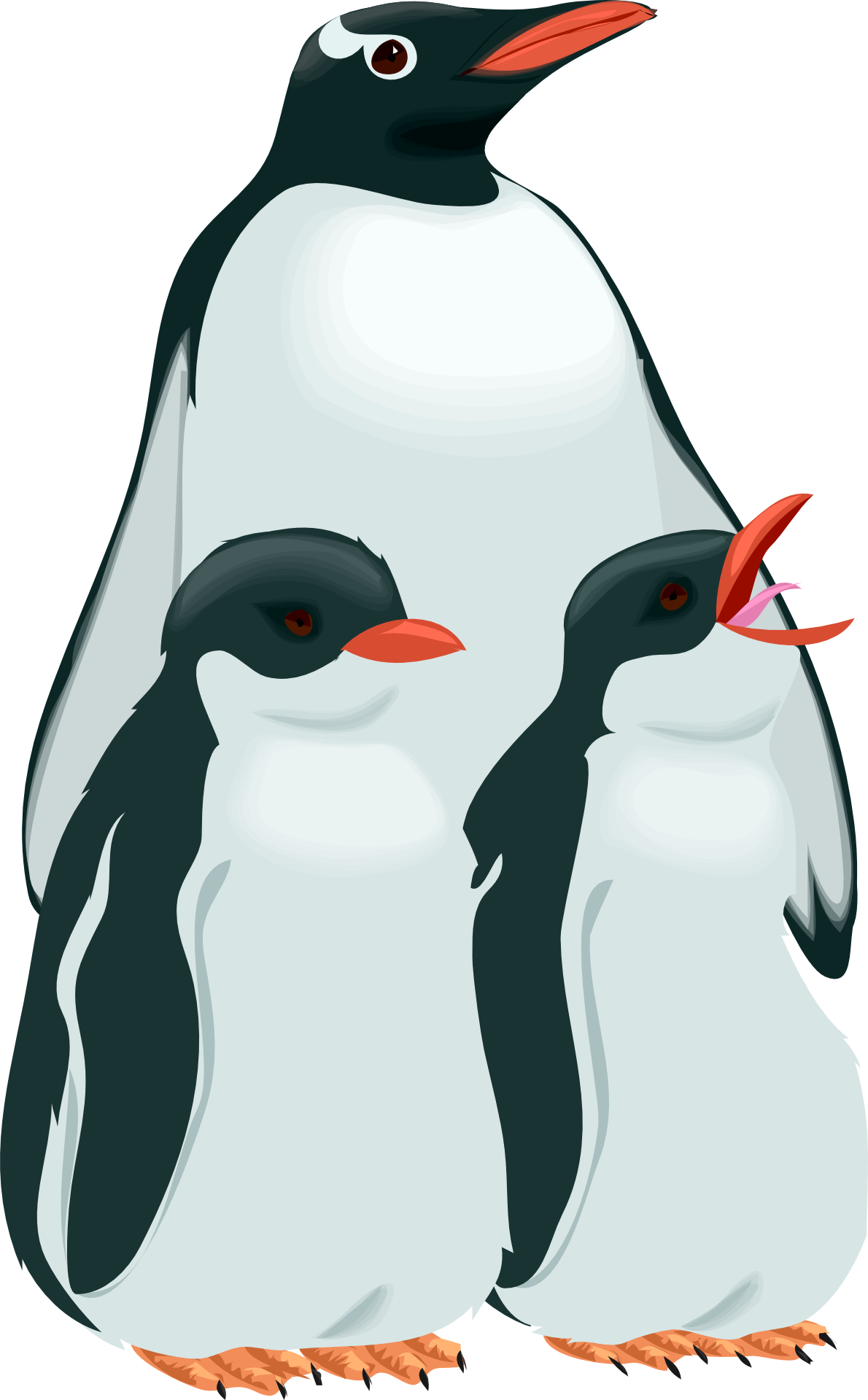 Birds-penguin & birdling vector