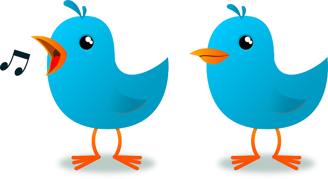 Blue cartoon birds vector-symbol of twitter