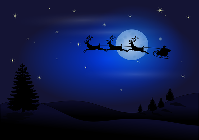 Cartoon sledge & moon christmas vector
