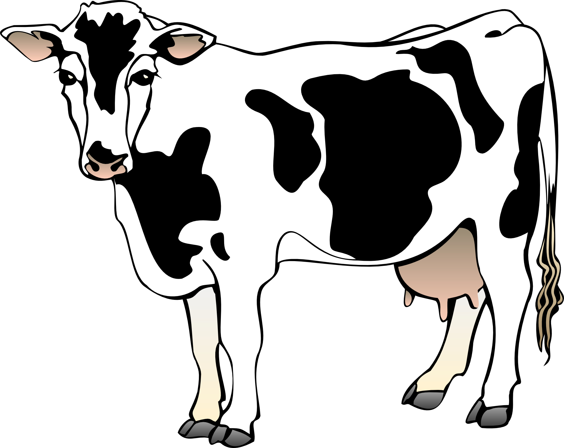 black and white cow clipart free - photo #19