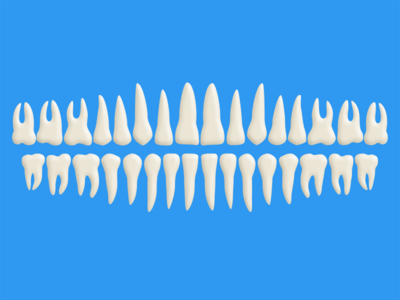 Free Teeth PSD (100% Vector Shapes)