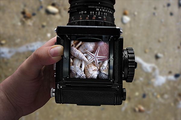 PSD Digicam Templates Realistic Camera mockups