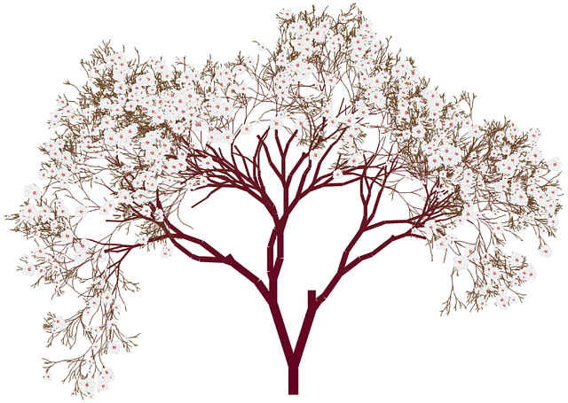 Almond tree free vector