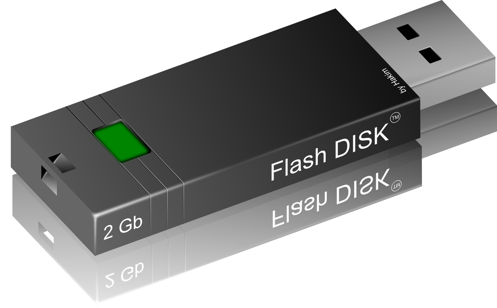 Black Flash disk,USB drives vector