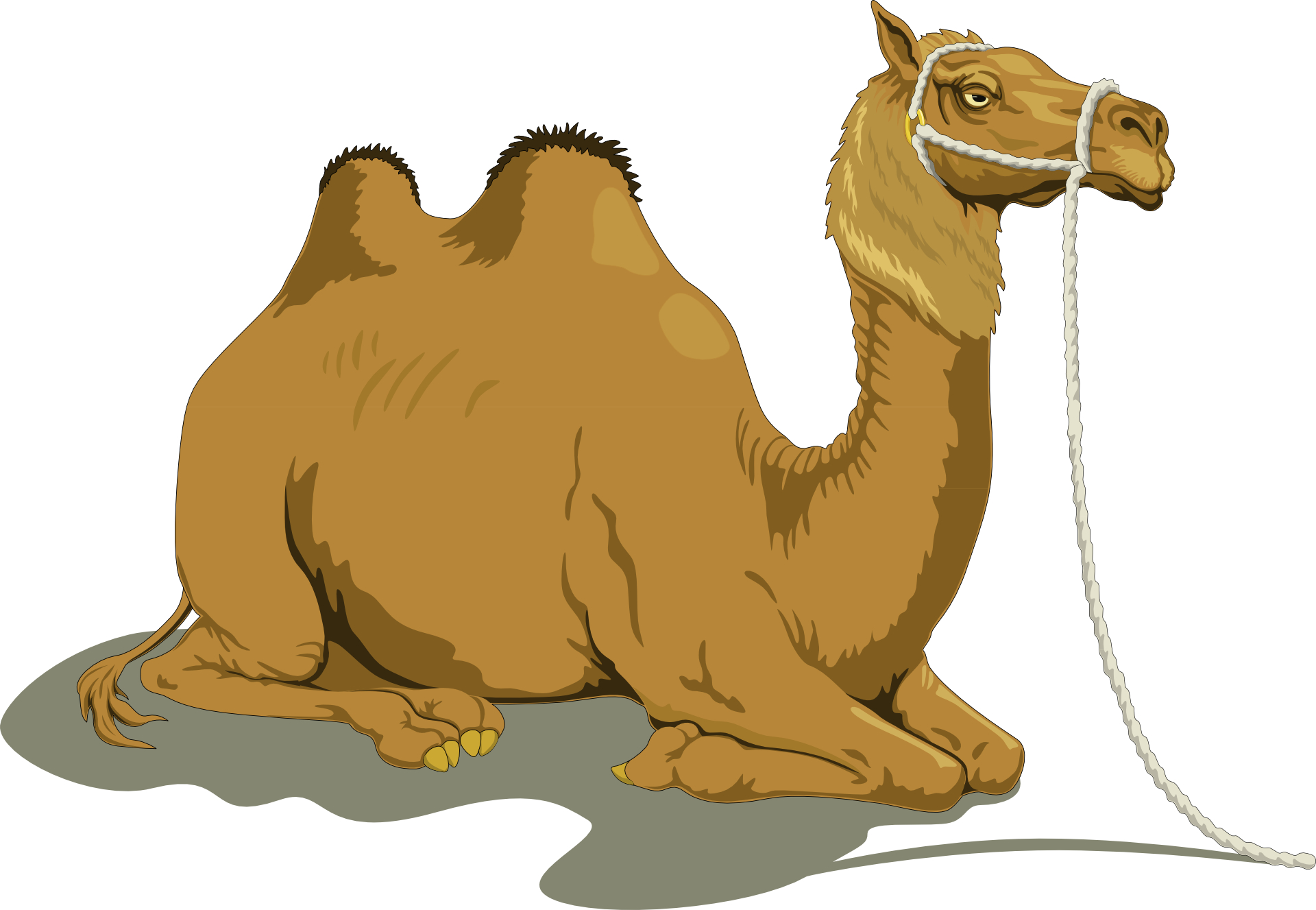 Brown Lying camel vector