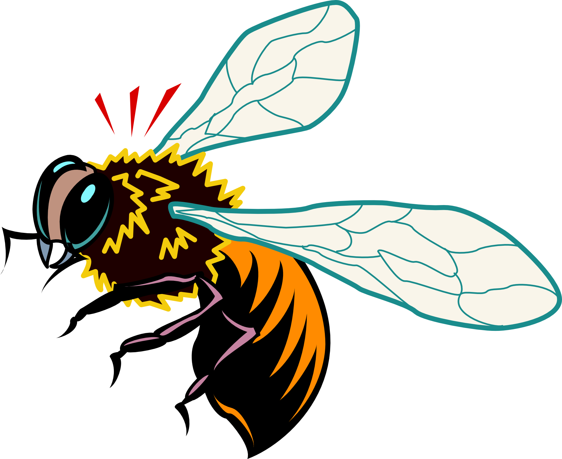Cartoon animal bee,honey bee vector