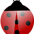 Cartoon animal, red ladybug vector,dots,insect,beetle