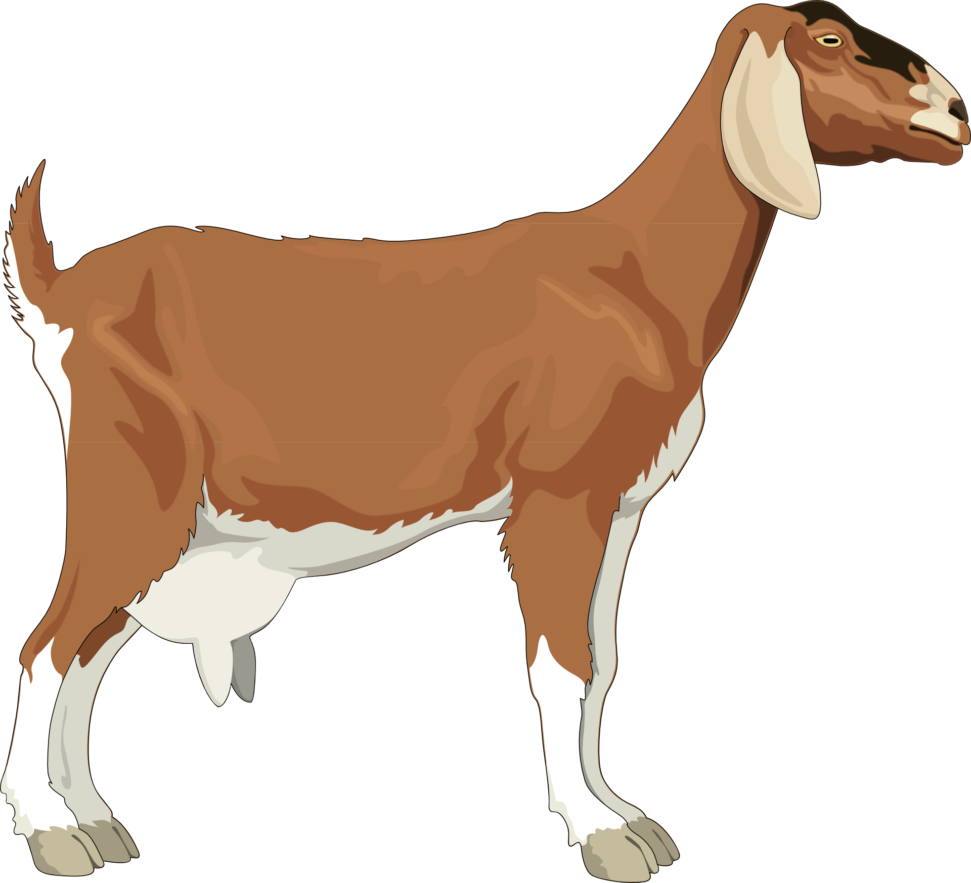 Cartoon animal,brown goat vector