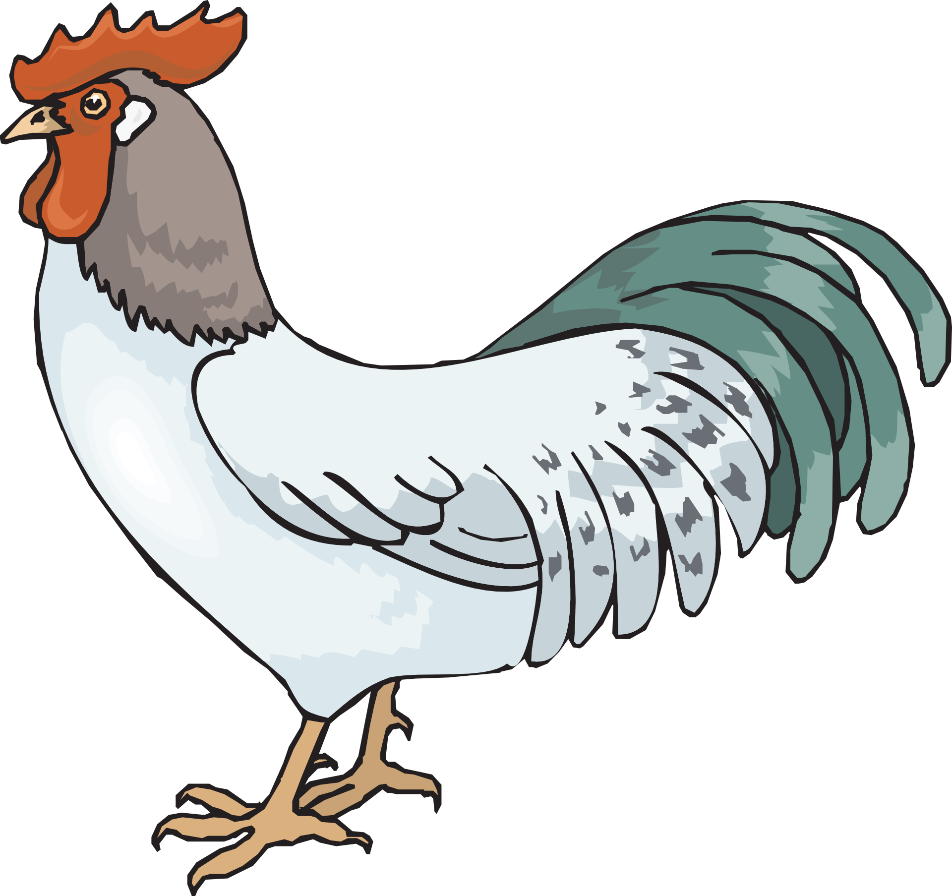 Cartoon animal,rooster (cock) vector