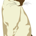 Cartoon brown sitting cat vector