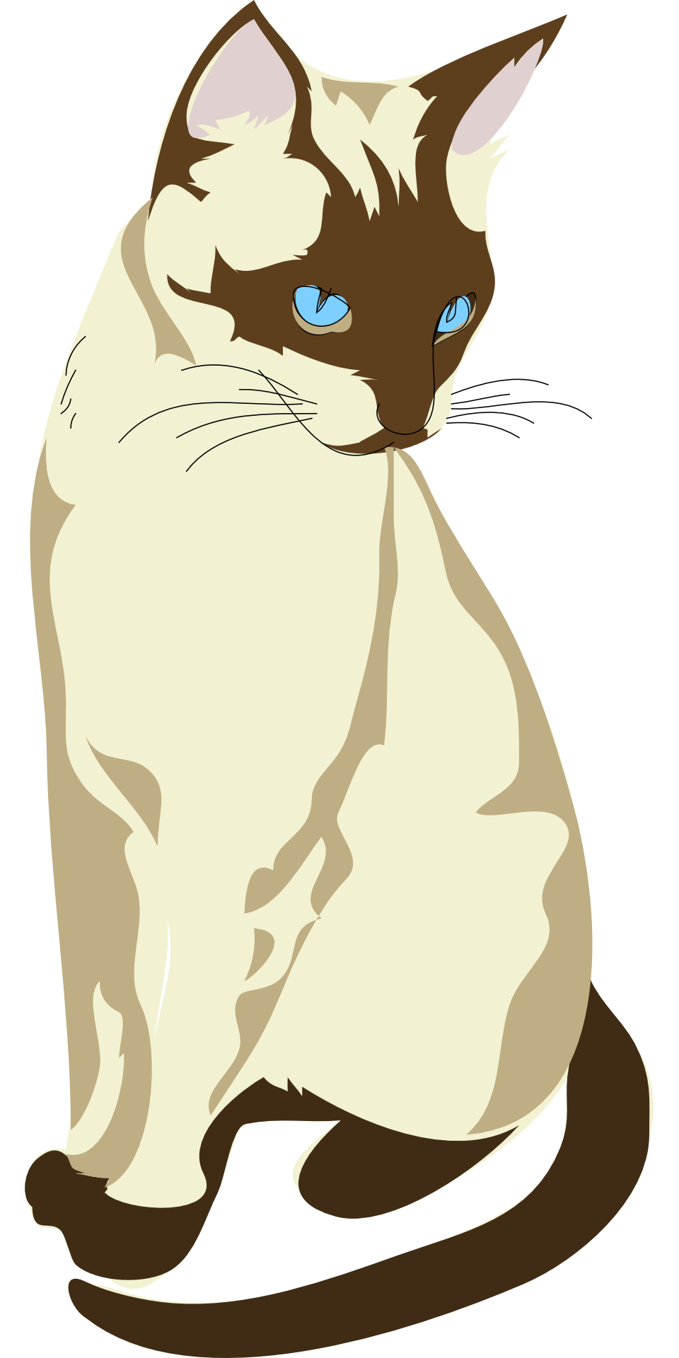Cartoon brown sitting cat vector