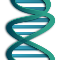 DNA Helix Free Vector