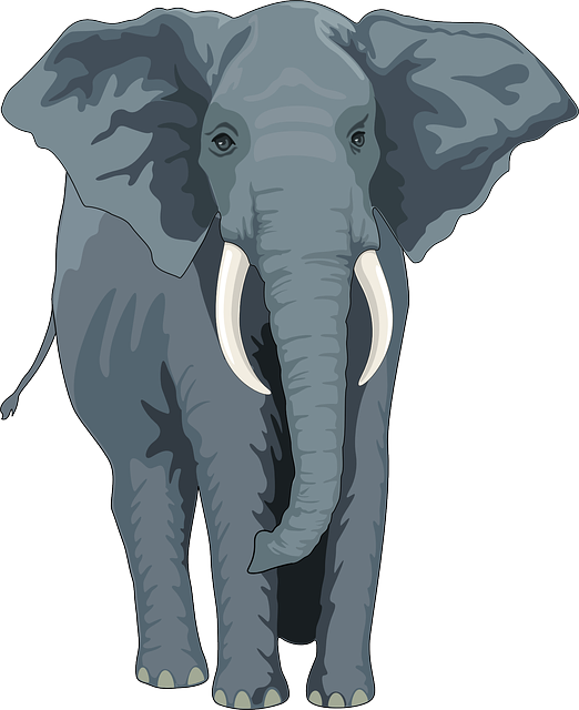 Elephant  vector – free animal picture