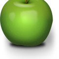 Green apple,fruit vector