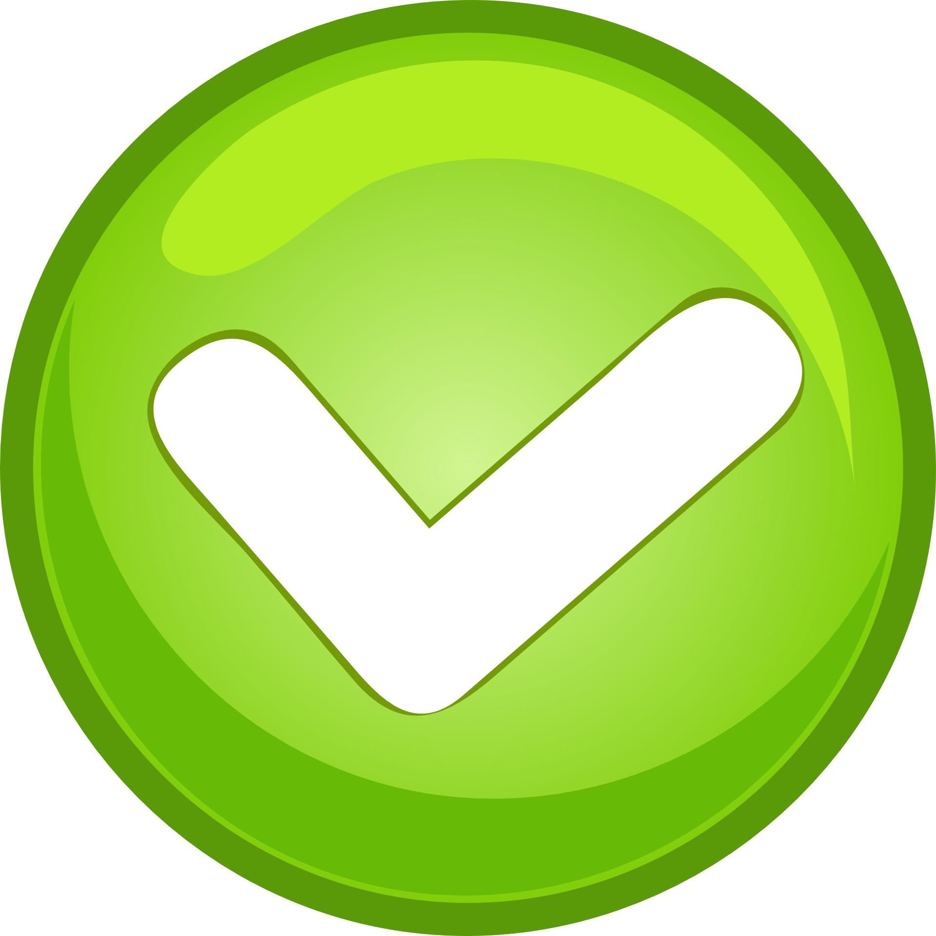 Green checked button vector