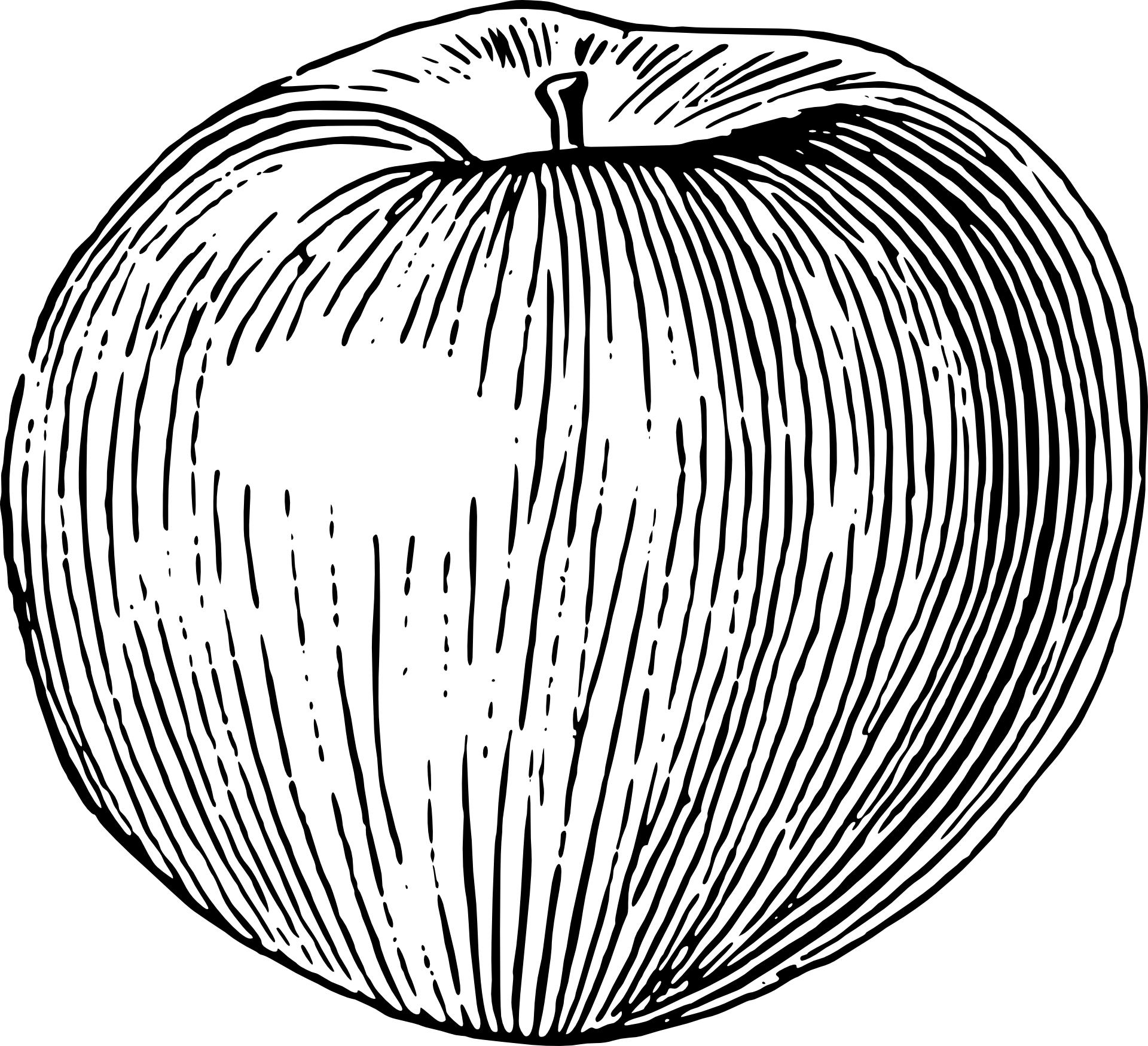Hand Drawing Fruit, Apple vector