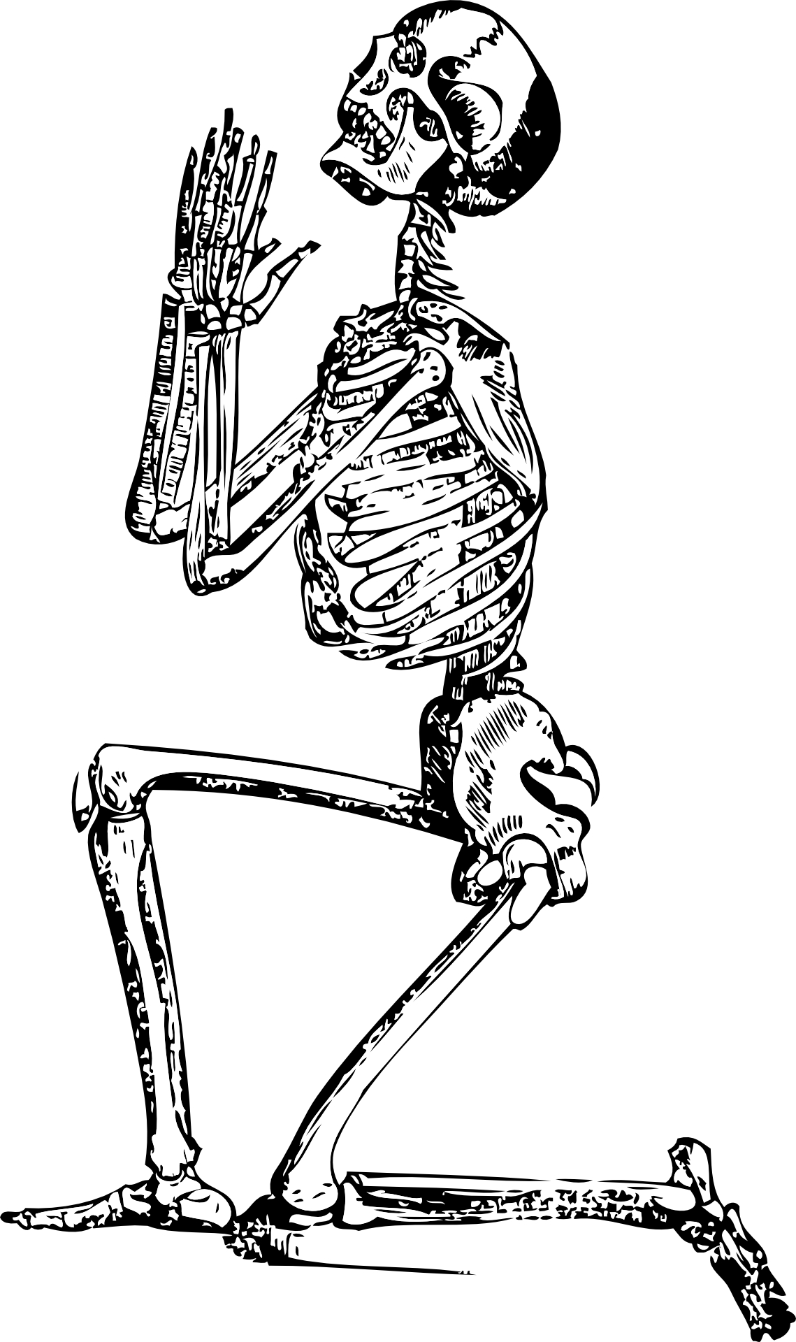 Hand drawing,human skeleton,prayer & supplication vector