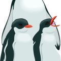 birds-penguin & birdling vector