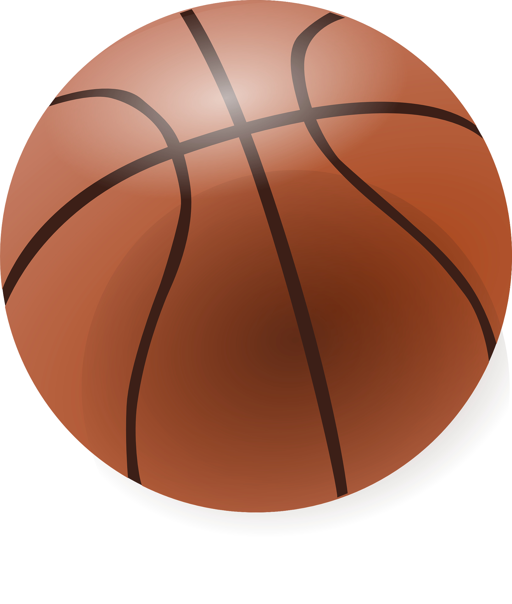 Brown basketball vector