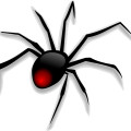 cartoon animal-black spider vector