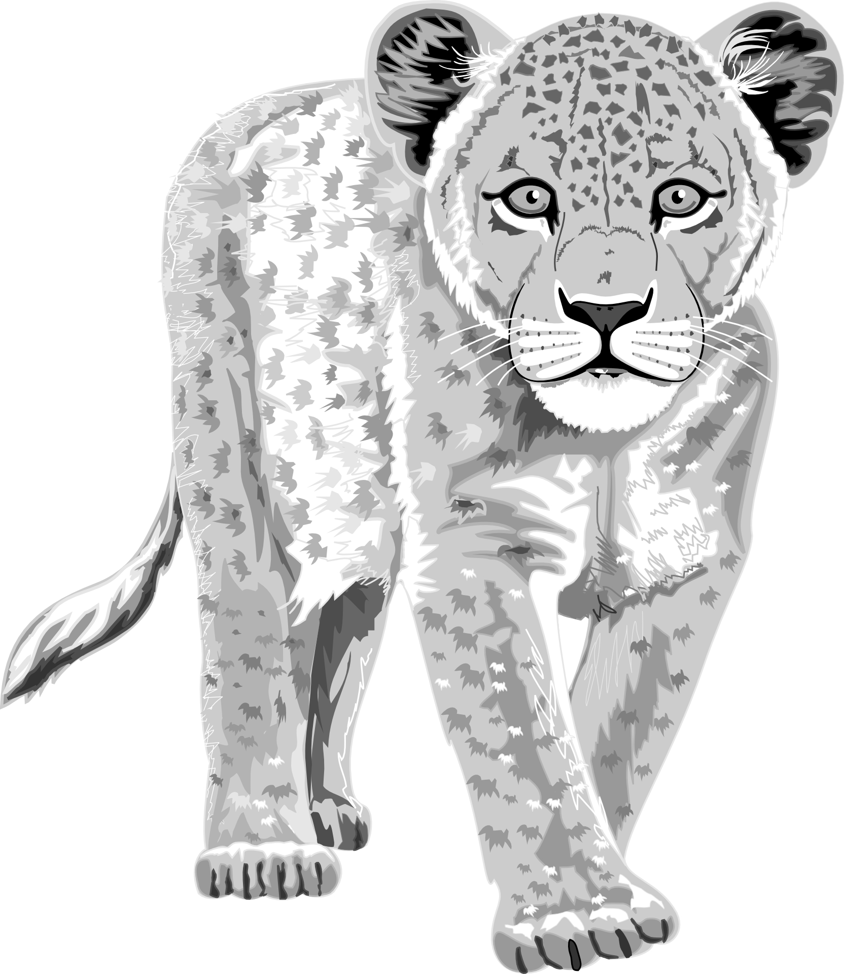 Cartoon animal leopard ,hand drawing,leopard vector