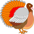 colorful turkey vector
