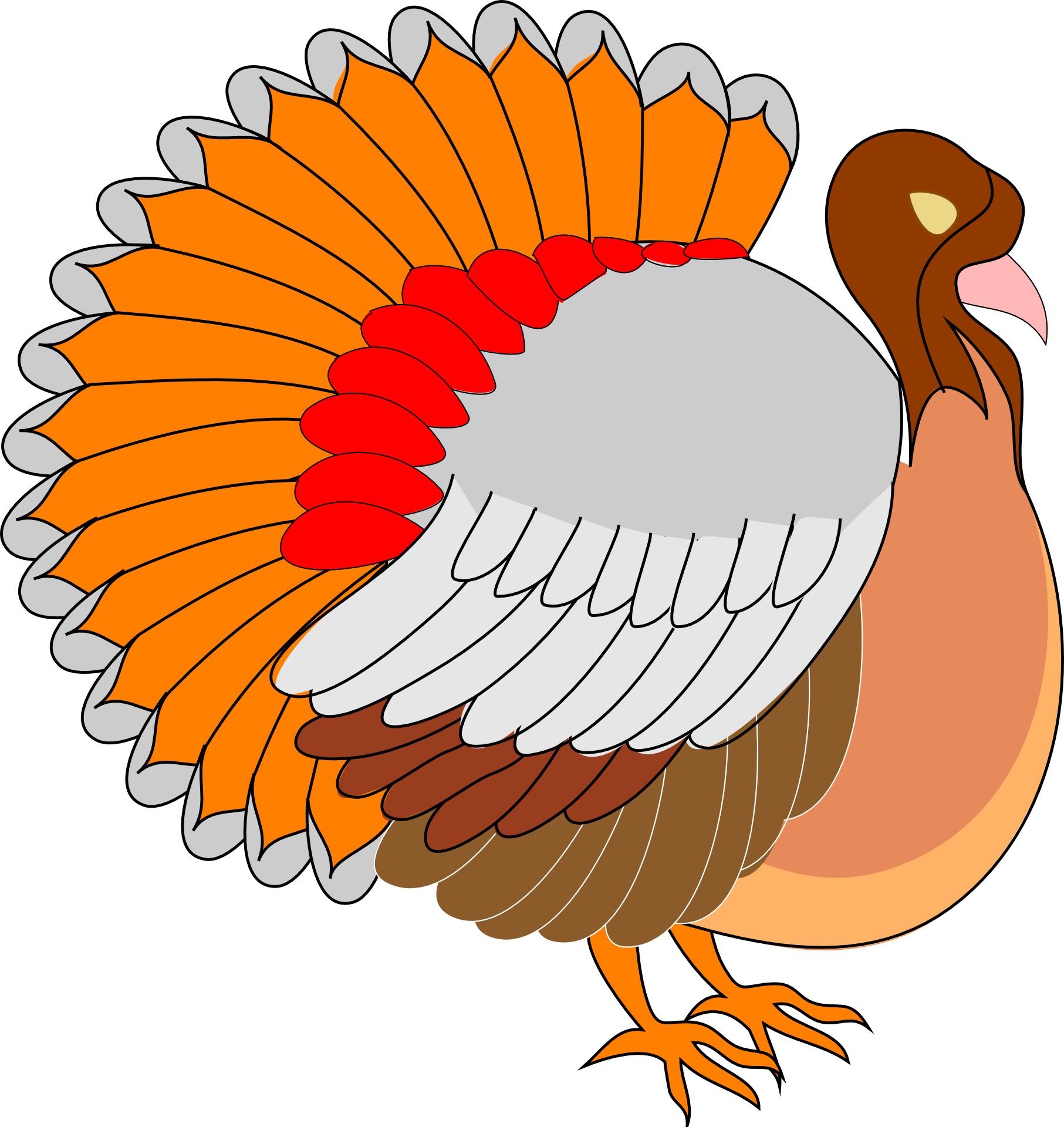 Colorful turkey vector