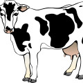 cow vector-cartoon animal