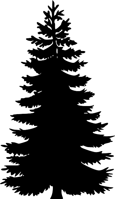 Evergreen outline silhouette