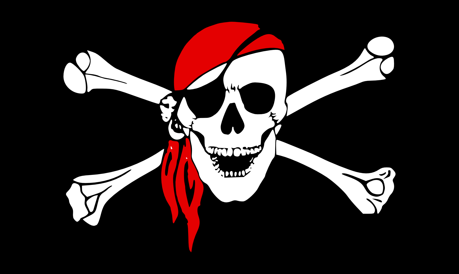 Pirate flag,skull vector