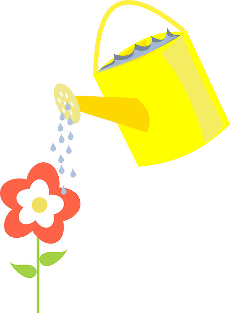 Water the flowers vector