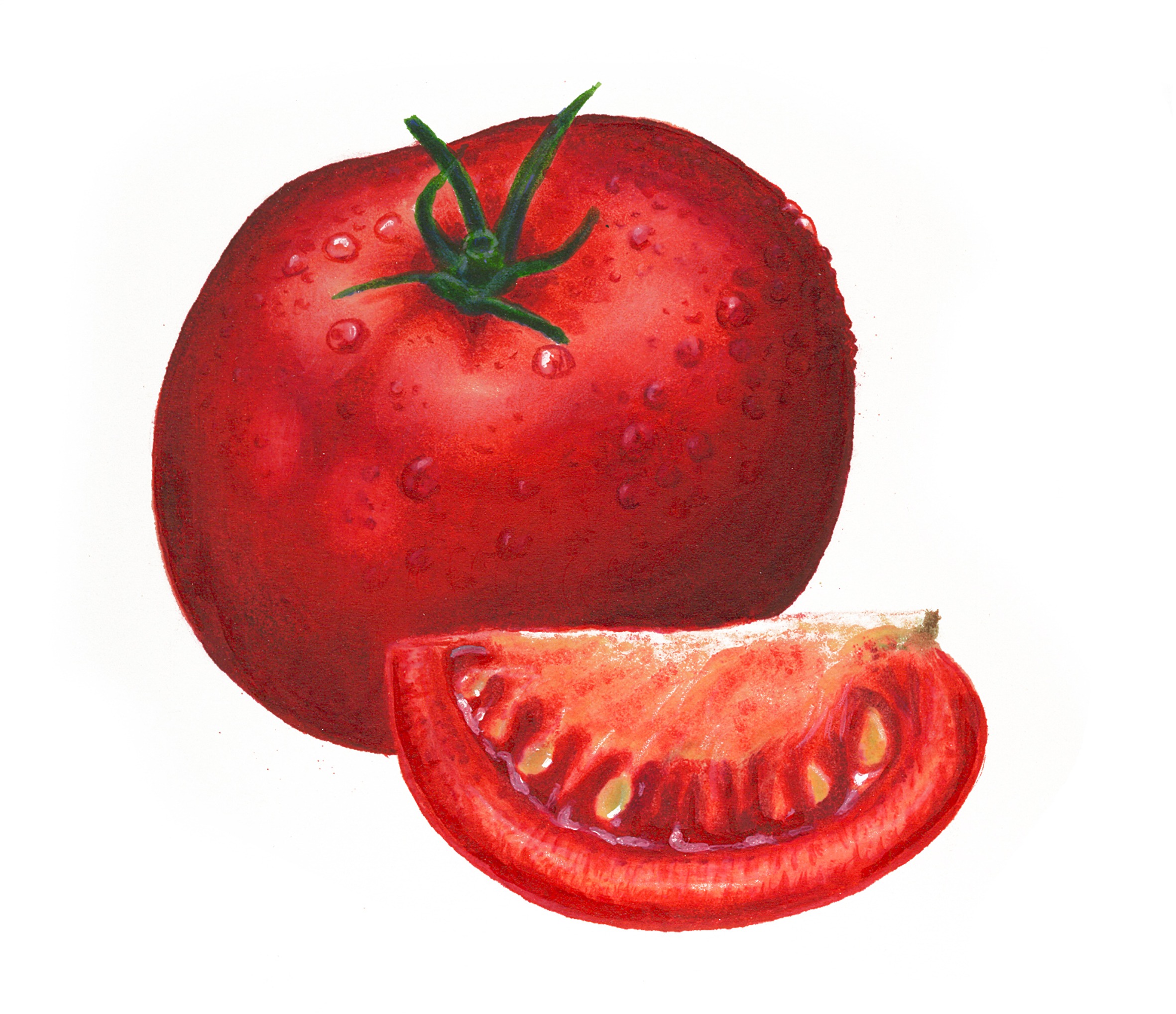 Fresh Vegetable tomato