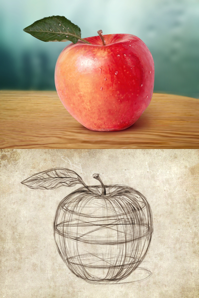 Fresh Fruit-Red Apple Free PSD - Sketch