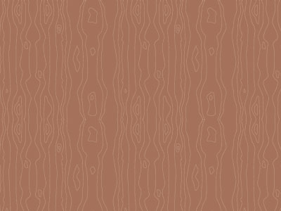Wood texture pattern vector