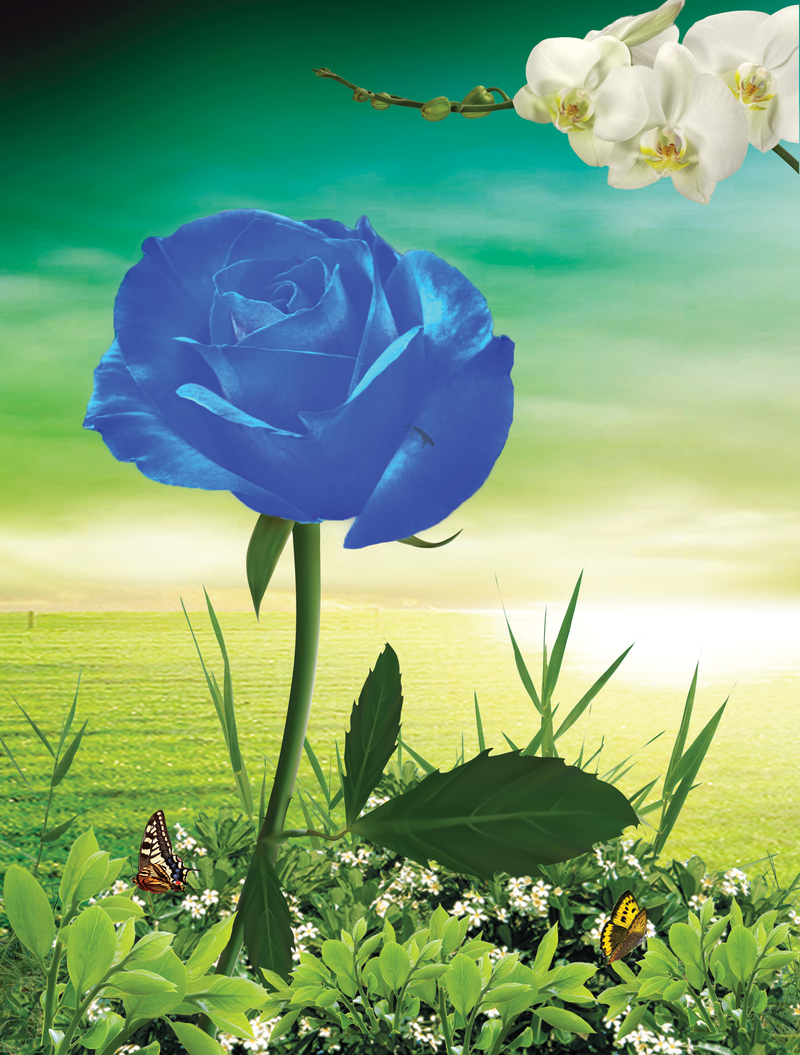Freebie PSD-Blue Rose Garden
