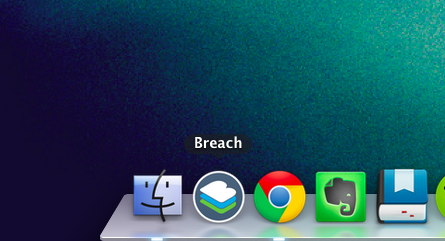 Breach Icon