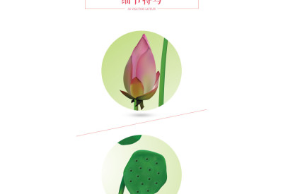 Vector Lotus Flower AI